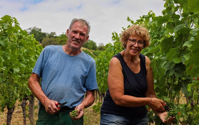 Jahr für Jahr arbeiten sie Seite an Seite im Weinberg: Marlene und Albert Häußermann.