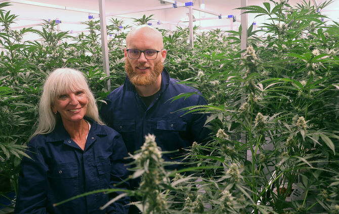 Bea Gadorosi und Émeric Beautier im Anbauraum in dem knapp 300 Cannabispflanzen wachsen.
