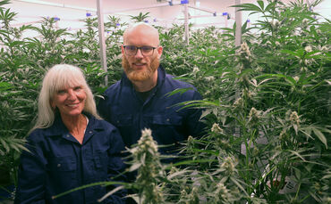 Bea Gadorosi und Émeric Beautier im Anbauraum in dem knapp 300 Cannabispflanzen wachsen.