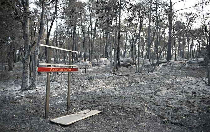 Waldbrand bei Paris