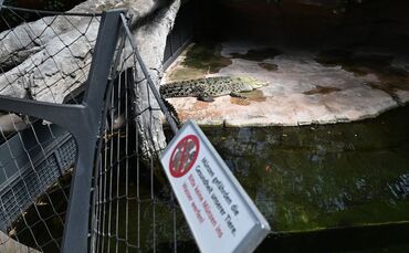 Das Netz am Krokodilgehege soll enger werden.