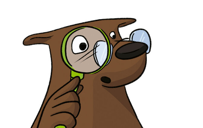 Der Bibär geht mit den Kindern auf Entdeckungsreise.