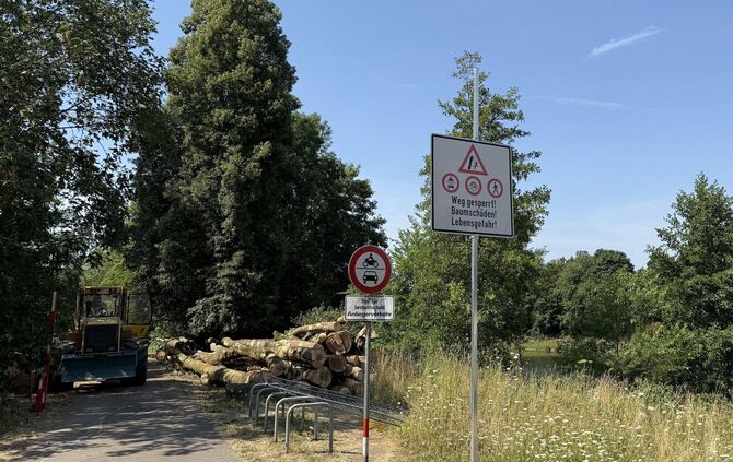 Wegen der Fällarbeiten ist hier gesperrt.