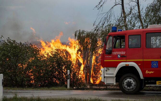 Millionenschaden durch Brand in einem Holzwerk