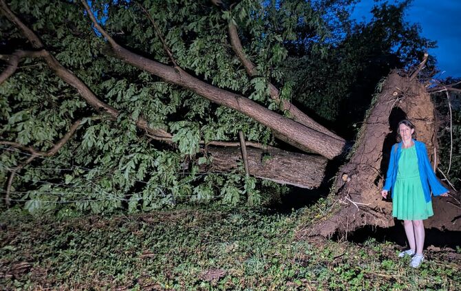 Das Unwetter traf vor allem den Schafhof Welzheim mit Wucht. Hier hielten auch große Bäume dem Wind nicht stand. Melanie Hindere
