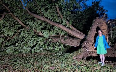 Das Unwetter traf vor allem den Schafhof Welzheim mit Wucht. Hier hielten auch große Bäume dem Wind nicht stand. Melanie Hindere