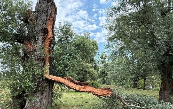 Sturm in Karlsruher Rheinstrandbad hinterlässt Spuren