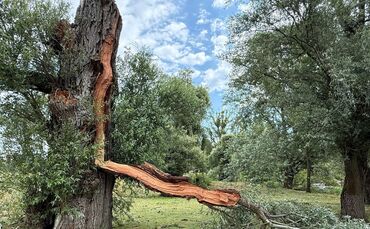 Sturm in Karlsruher Rheinstrandbad hinterlässt Spuren