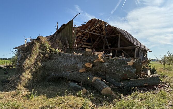 Die Linde war ortsbildprägend für den Weiler in Welzheim.