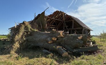 Die Linde war ortsbildprägend für den Weiler in Welzheim.