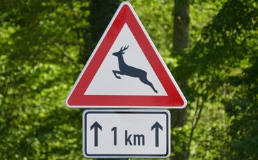 Wildwarnschilder geben Hinweise darauf, auf welchen Streckenabschnitten besondere Vorsicht geboten ist.