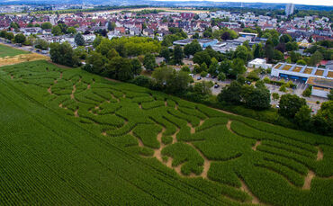 Das Maislabyrinth von oben.