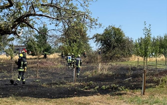 Am Samstagnachmittag (25.7.) brannte ein Feld nahe Winnenden. Die Polizei sucht Zeugen.