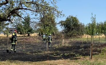 Am Samstagnachmittag (25.7.) brannte ein Feld nahe Winnenden. Die Polizei sucht Zeugen.