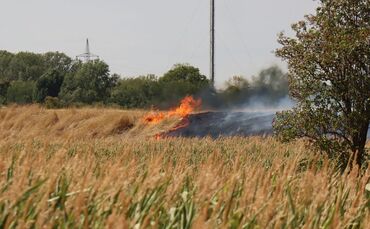 Flächenbrand in Mannheim-Neckarstadt