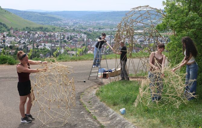 Viel Arbeit und Fingerspitzengefühl hat das Team des Max-Planck-Gymnasiums Schorndorf.