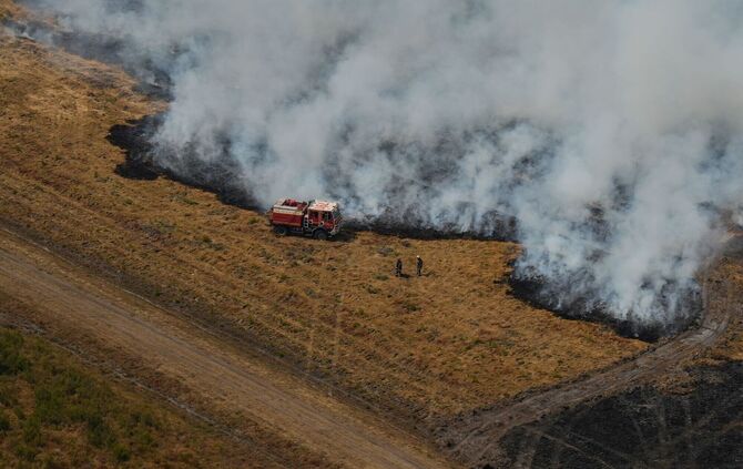 Waldbrände in Frankreich