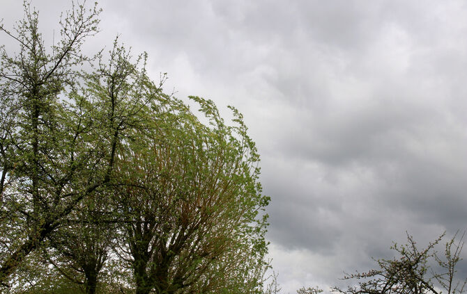 Der DWD warnt vor Sturm (Symbolfoto).