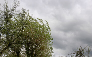 Der DWD warnt vor Sturm (Symbolfoto).