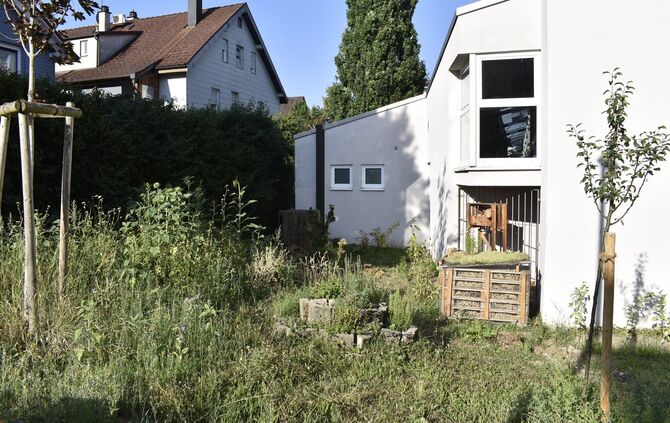 Hinter dem Burggymnasium gibt es jetzt unter anderem ein Insektenhotel und eine Kräuterspirale.