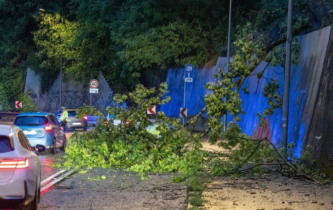 In Stuttgart fielen einige Bäume um - die Feuerwehr hatte dutzende Einsätze.
