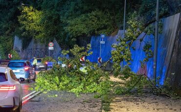 In Stuttgart fielen einige Bäume um - die Feuerwehr hatte dutzende Einsätze.