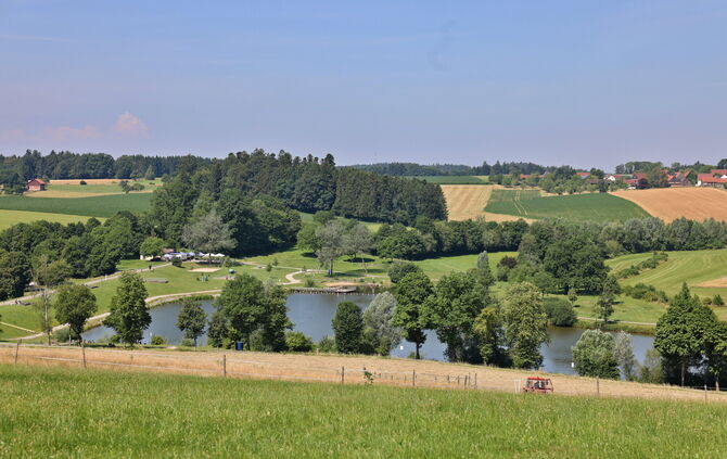 Bade-Idylle Aichstruter Stausee: Leider ist der See aktuell mit Blaualgen belastet.