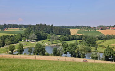 Bade-Idylle Aichstruter Stausee: Leider ist der See aktuell mit Blaualgen belastet.