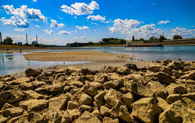 Niedrigwasser am Rhein
