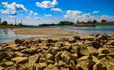 Niedrigwasser am Rhein