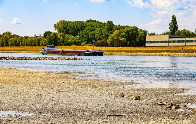 Niedrigwasser am Rhein