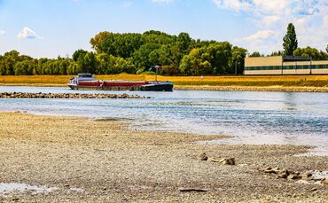 Niedrigwasser am Rhein