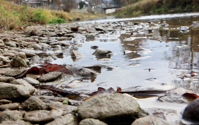 Bei Niedrigwasser sollten Menschen und Hunde die Rems nicht betreten oder darin baden, appelliert das Landratsamt (Symbolfoto).