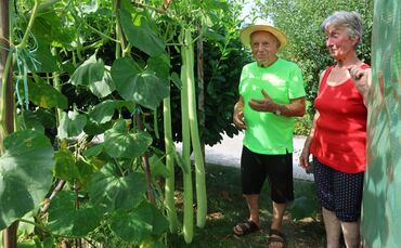 Michele und Roswitha Carullo sind rund 1,60 Meter groß. Nur etwa zehn Zentimeter größer als das Riesen-Gemüse.