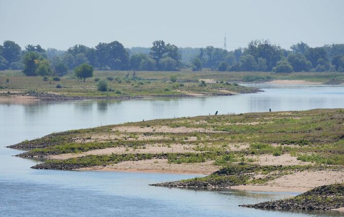 Niedrigwasser in der Elbe