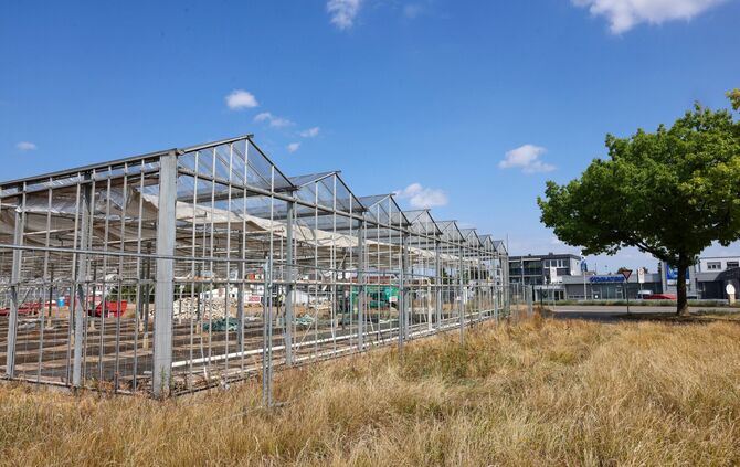Die REMS GmbH und Co LG will bei Hegnach bauen und reißt aktuell die Gewächshäuser der ehemaligen Gärtnerei Rosen Ludwig ab.