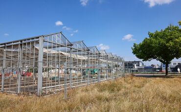 Die REMS GmbH und Co LG will bei Hegnach bauen und reißt aktuell die Gewächshäuser der ehemaligen Gärtnerei Rosen Ludwig ab.