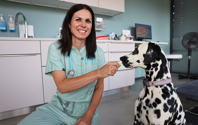 Tierärztin Dr. Eva Krause gibt Tierhaltern Tipps für den Sommer.