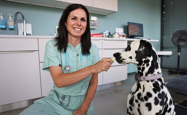 Tierärztin Dr. Eva Krause gibt Tierhaltern Tipps für den Sommer.
