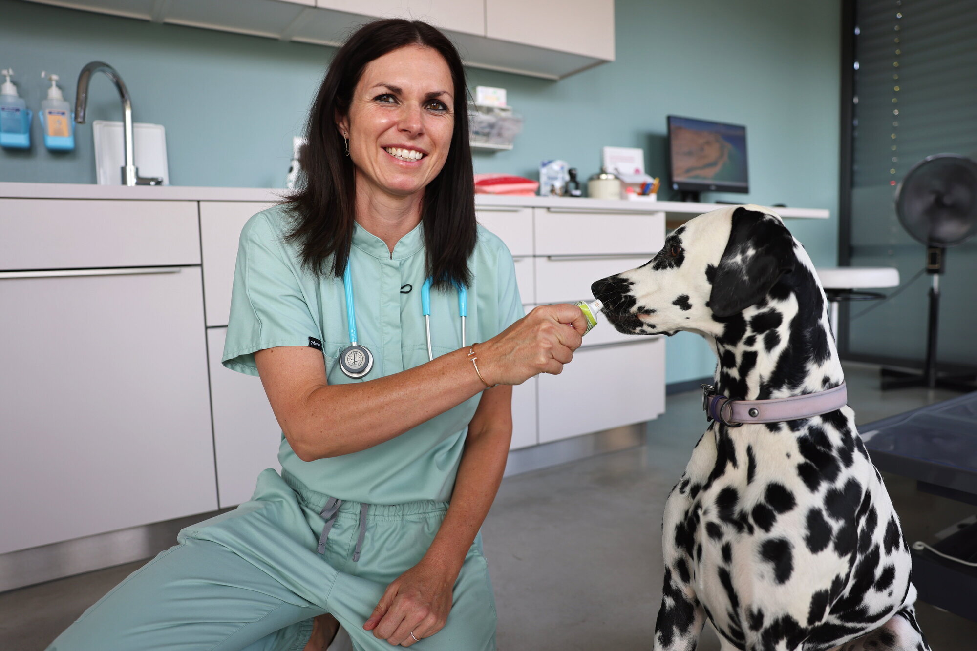 Urlaub mit Haustier: Tipps von Tierärztin Dr. Eva Krause aus Weinstadt