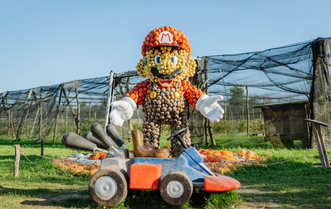 Was hat Super Mario wohl mit dem Motto der Kürbisausstellung im Blühenden Barock zu tun?