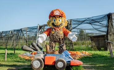 Was hat Super Mario wohl mit dem Motto der Kürbisausstellung im Blühenden Barock zu tun?