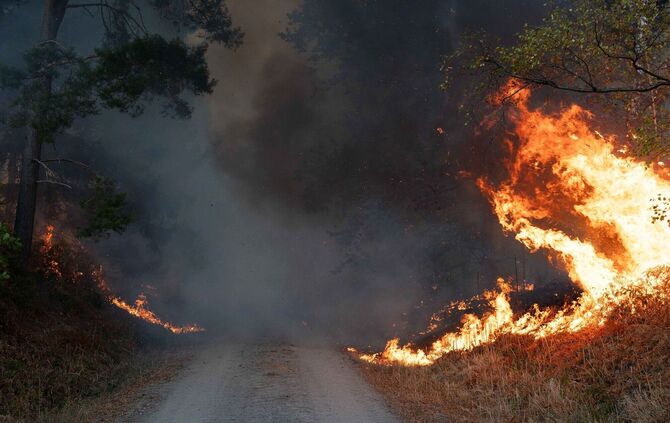 Waldbrand im Hürtgenwald