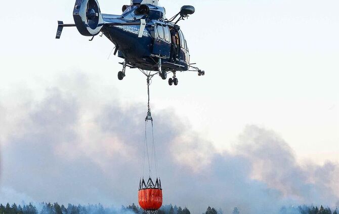 Waldbrand im Hürtgenwald