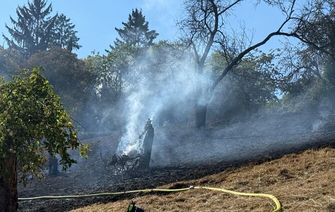 Auf einer Wiese am Grafenberg muss die Feuerwehr bei 35 Grad Hitze löschen.