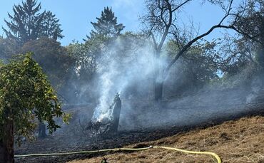 Auf einer Wiese am Grafenberg muss die Feuerwehr bei 35 Grad Hitze löschen.