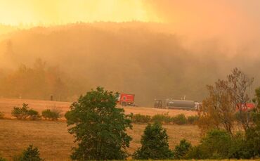 Waldbrand im Hürtgenwald