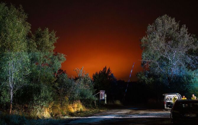 Waldbrand in Belgien