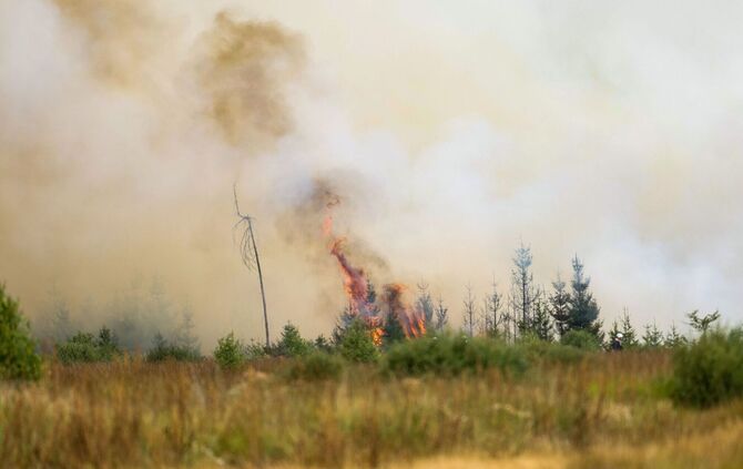Waldbrand in Belgien