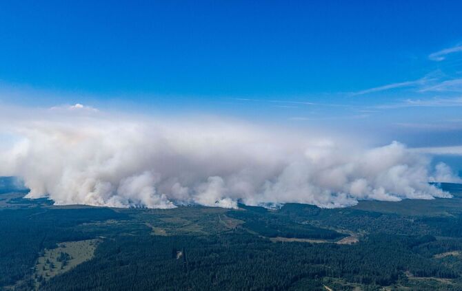 Waldbrand in Belgien